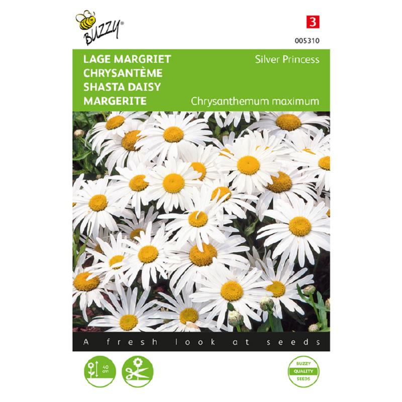 Chrysanthemum, Lage Margriet Silver Princess