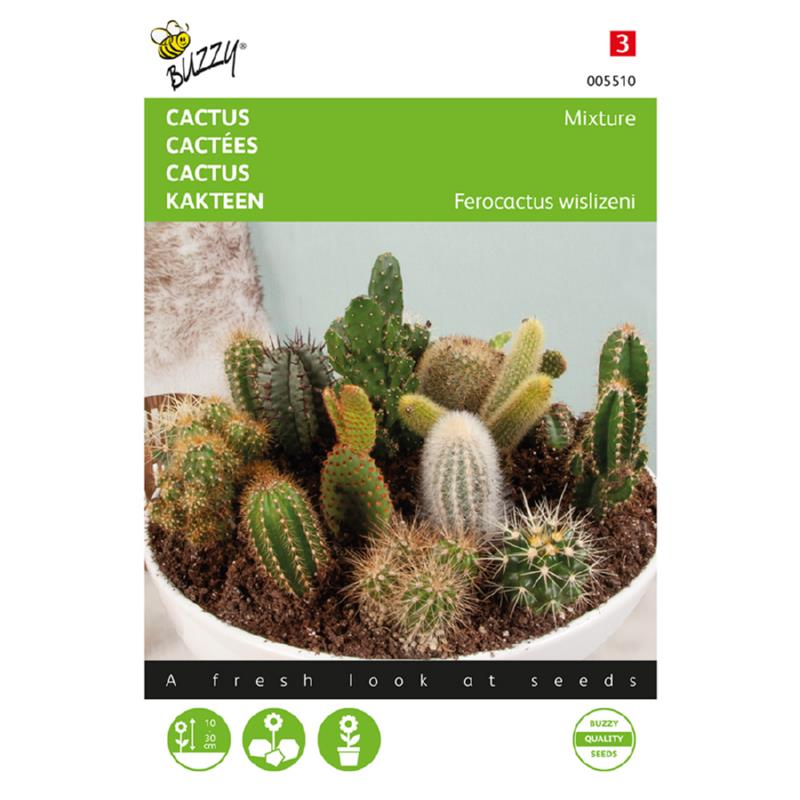 Cactus Mengsel