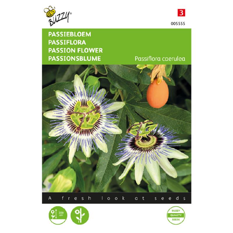 Passiflora, Passiebloem