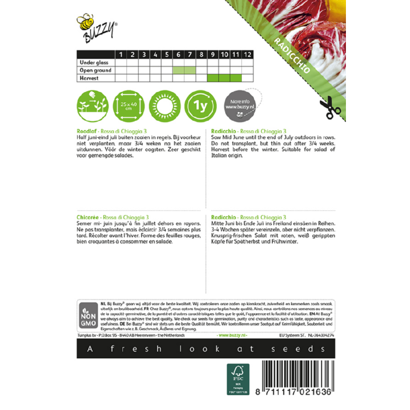 Roodlof Rossa di Chioggia 3