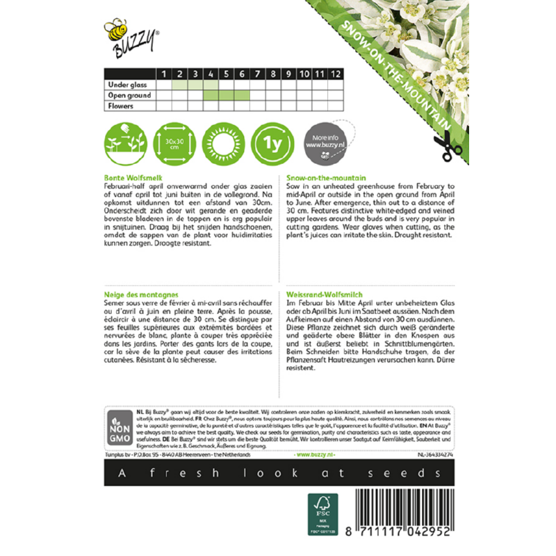 Euphorbia, Bonte Wolfsmelk