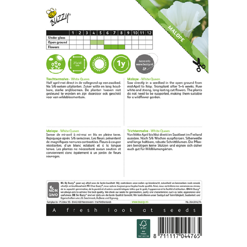 Malope, Trechtermalva White Queen