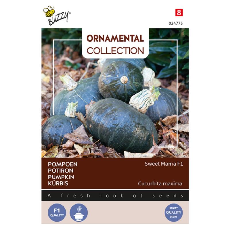 Ornamental Pompoen Sweet Mama F1