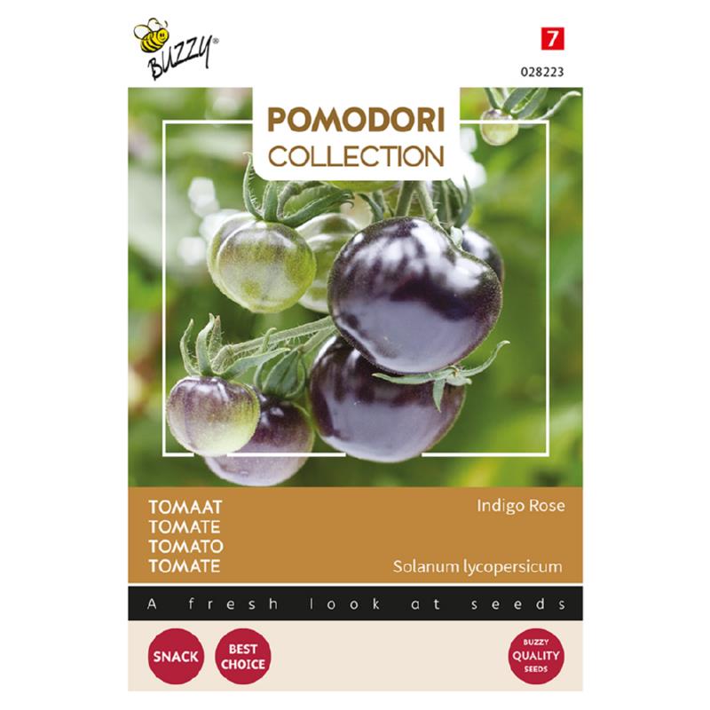 Pomodori Tomaat Indigo rose (zwart)