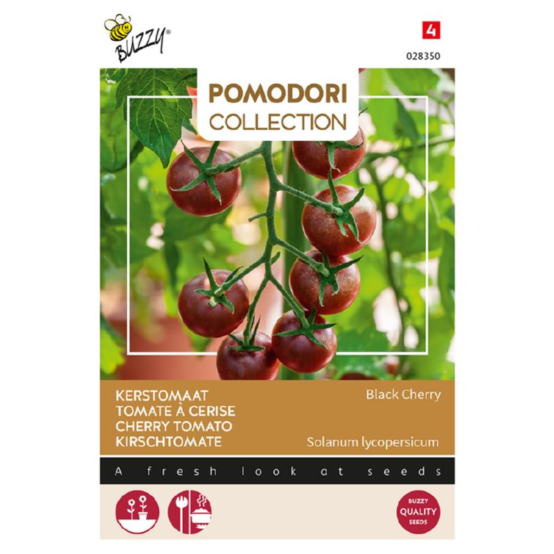 Pomodori Kerstomaat - Black Cherry