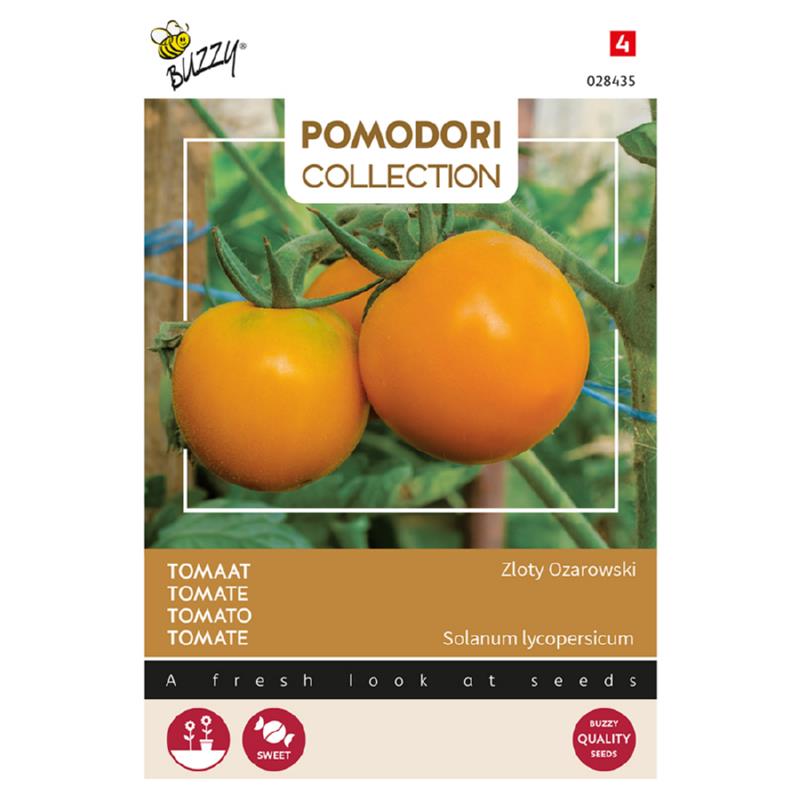 Pomodori Tomaat Zloty Ozarowski