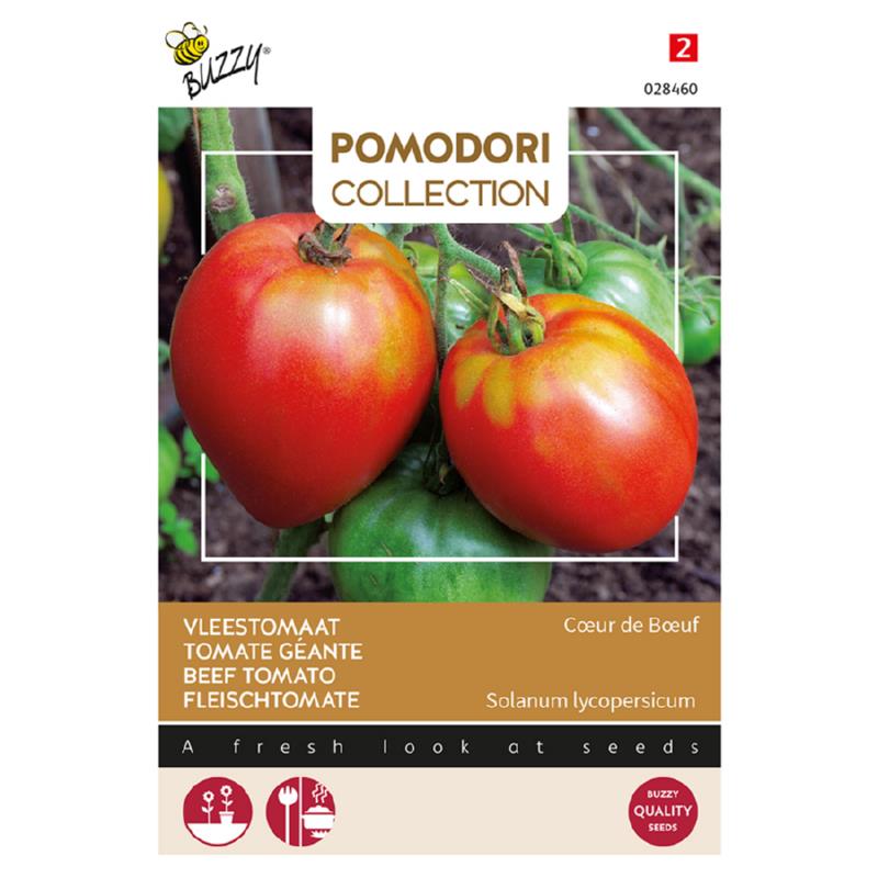 Pomodori Vleestomaat Coeur de Boeuf