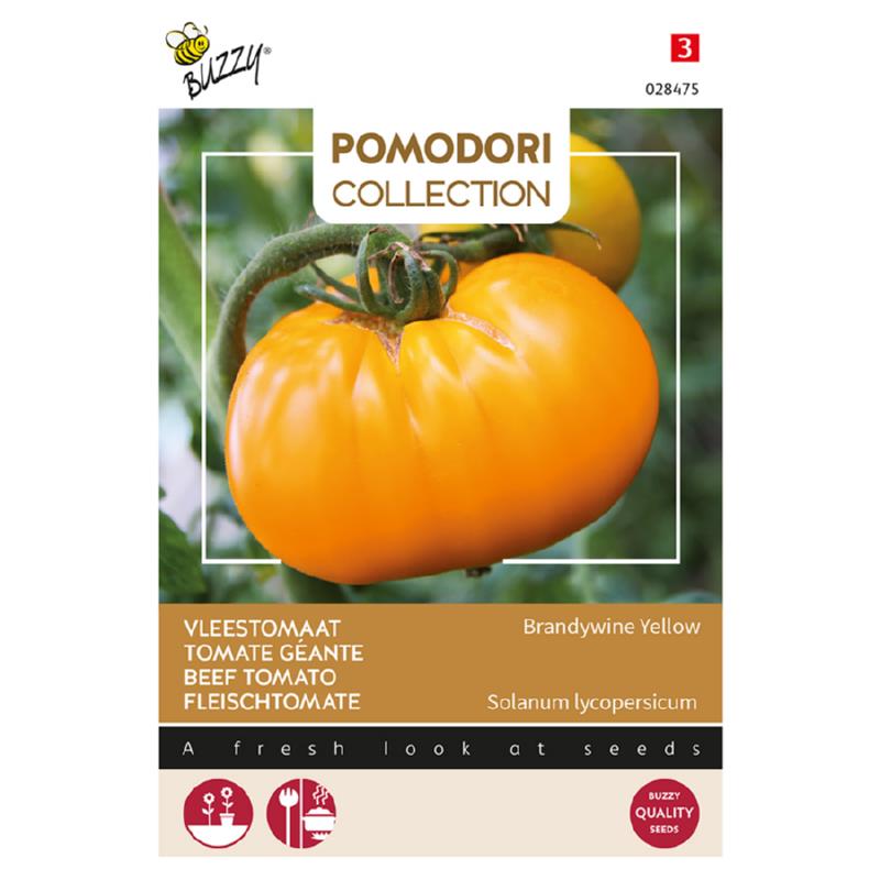 Pomodori Vleestomaat Brandywine Yellow
