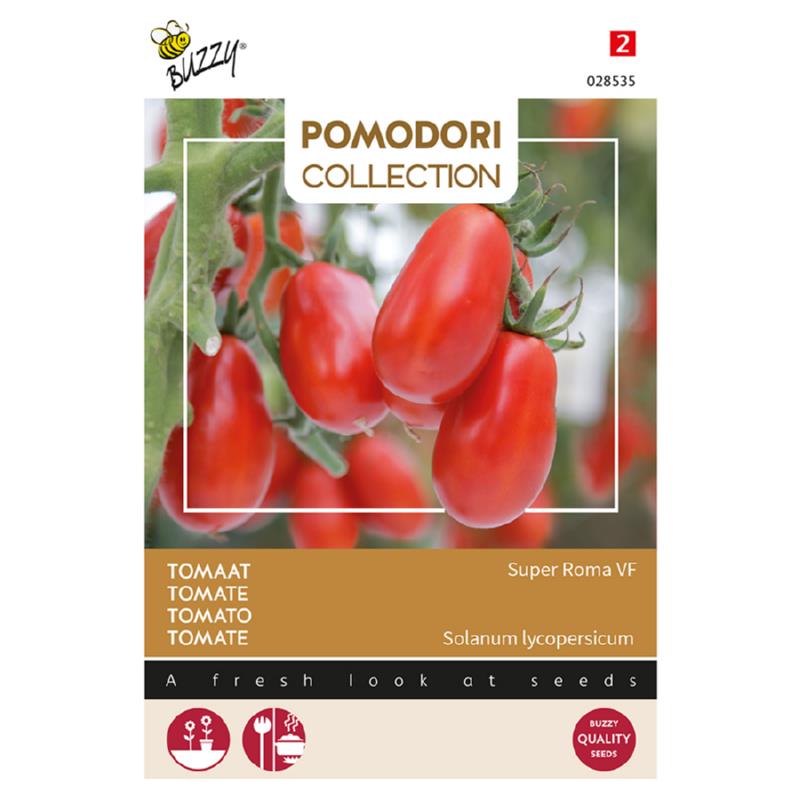 Pomodori Tomaat Super Roma VF