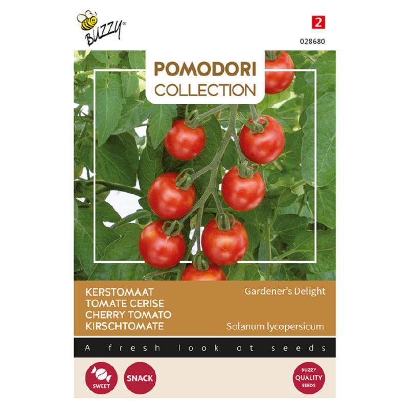 Pomodori Cherrytomaat Gardeners Delight