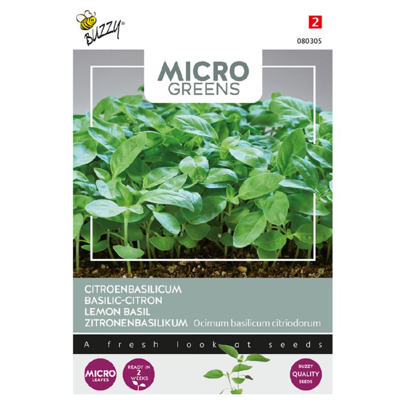 Microgreens, Citroenbasilicum
