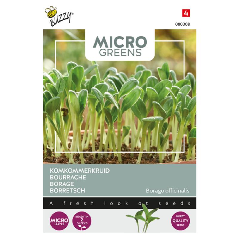 Microgreens, Borage (komkommerkruid)