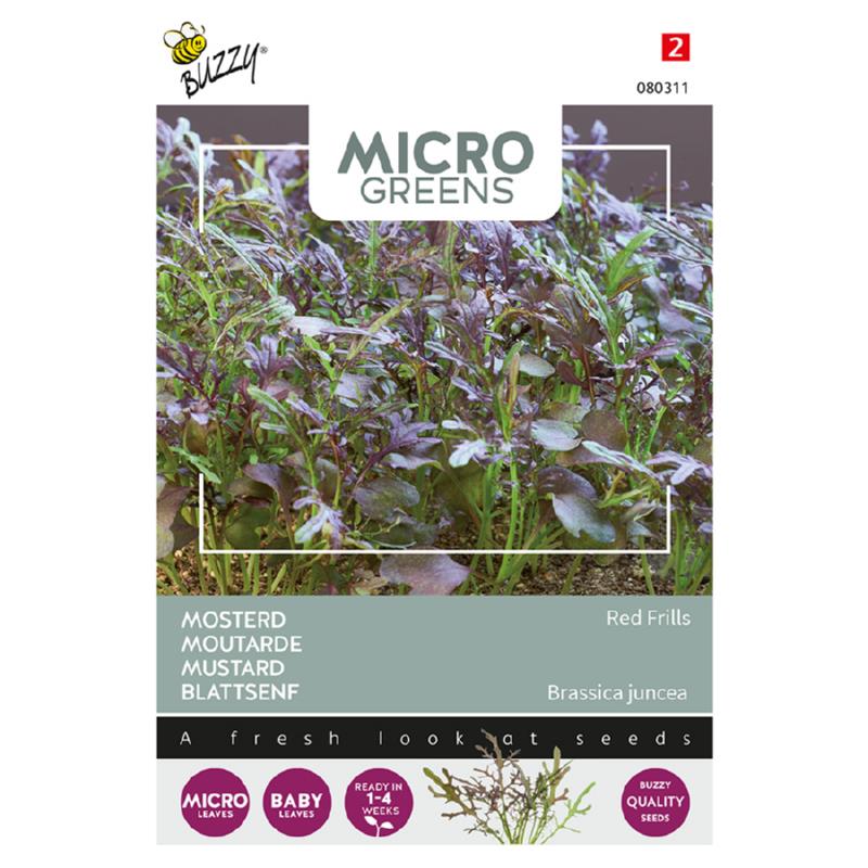Microgreens, Mosterd Red Frills  Bladmosterd