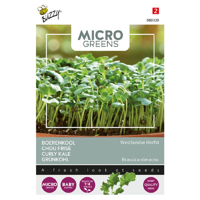 Microgreens, Boerenkool Westlandse Herfst