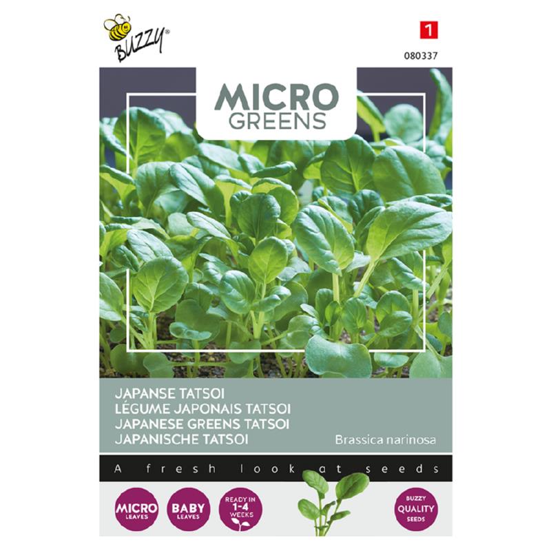 Microgreens, Japanse Tatsoi
