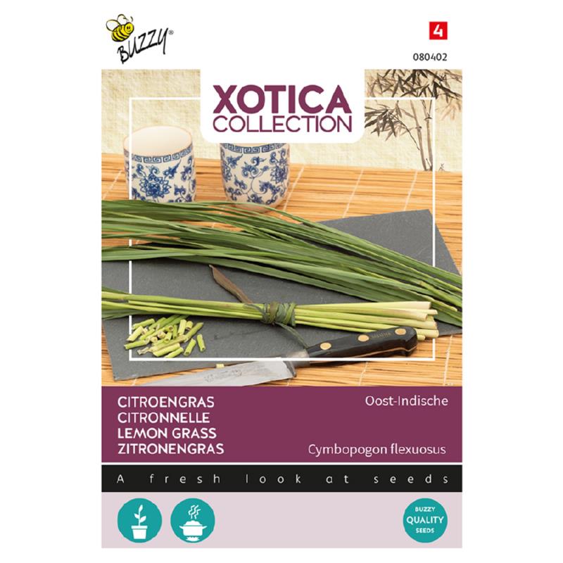 Xotica Citroengras