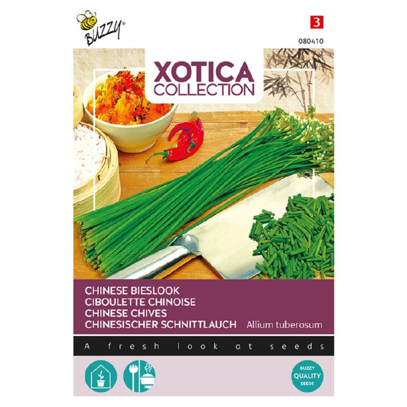Xotica Chinese Knoflook Bieslook