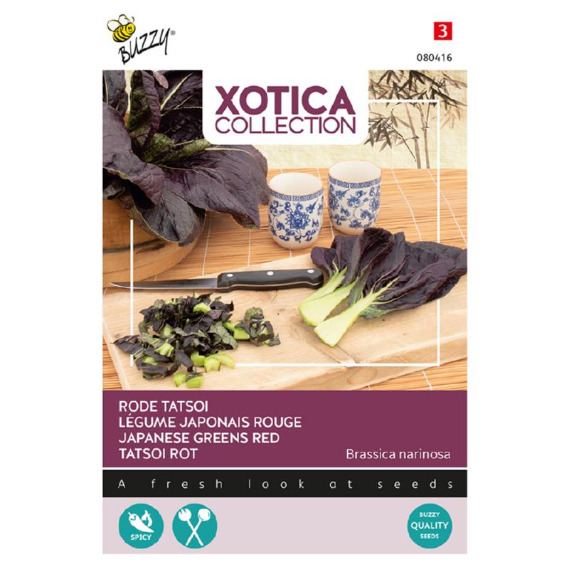 Xotica Japanse Tatsoi, rode