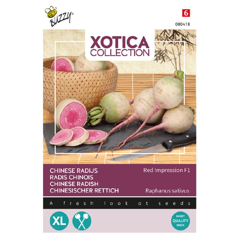 Xotica Chinese radijs Red Impression F1