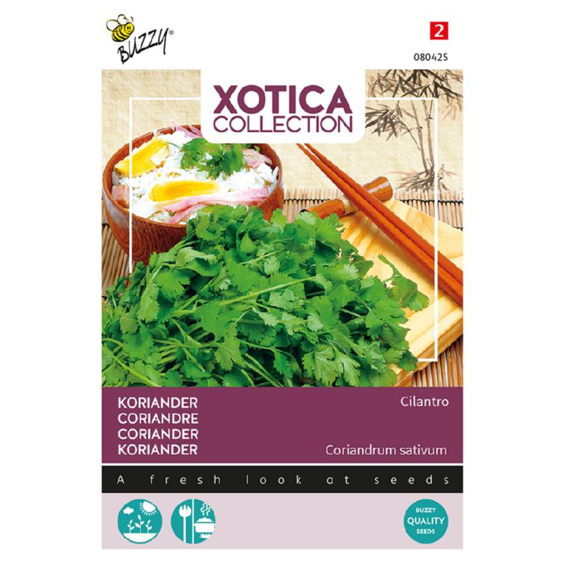 Xotica Koriander Cilantro