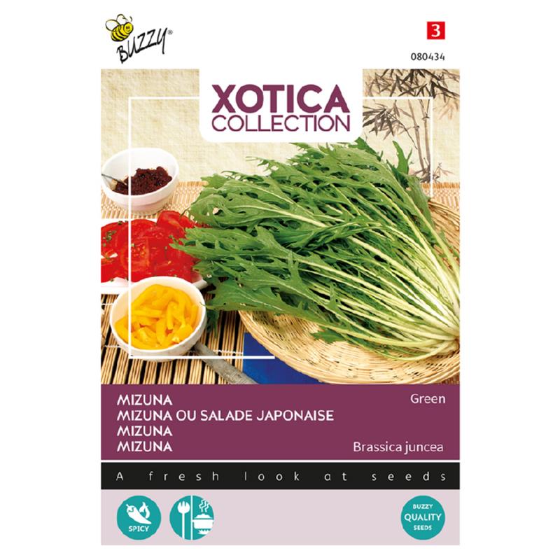 Xotica Mizuna, Japanse salade, groen