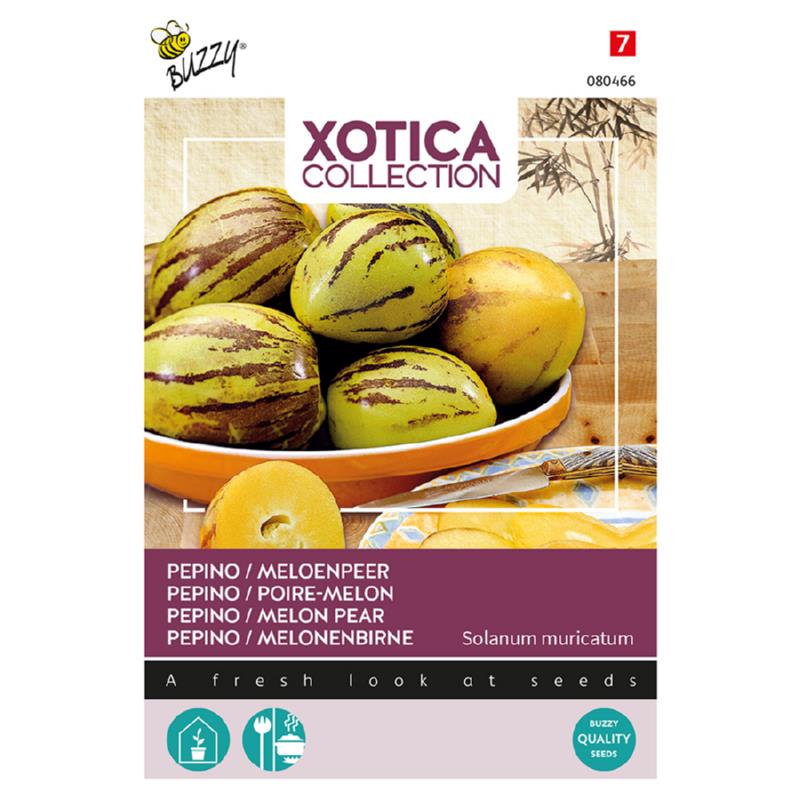 Xotica Pepino, Meloenpeer