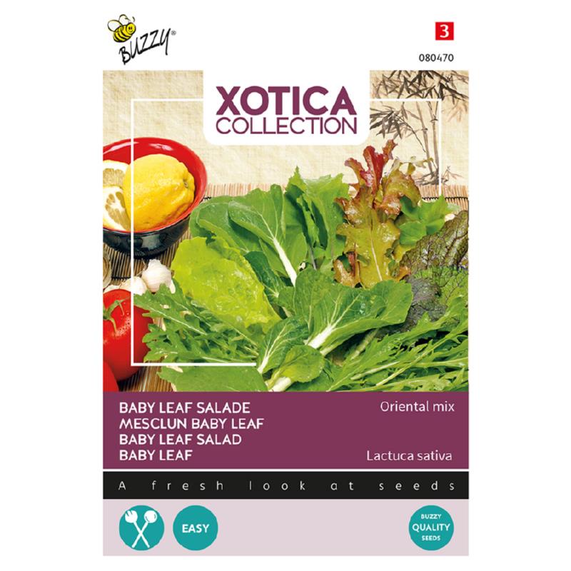 Xotica Oriental mix, Baby Leaf mix