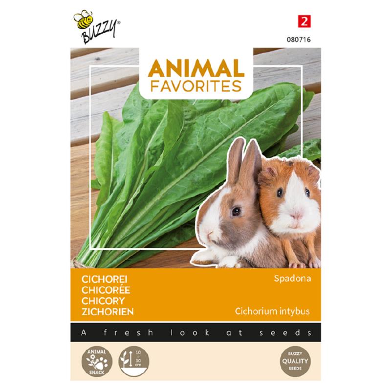 Animal Favorites Cichorei voor Konijn en Cavia