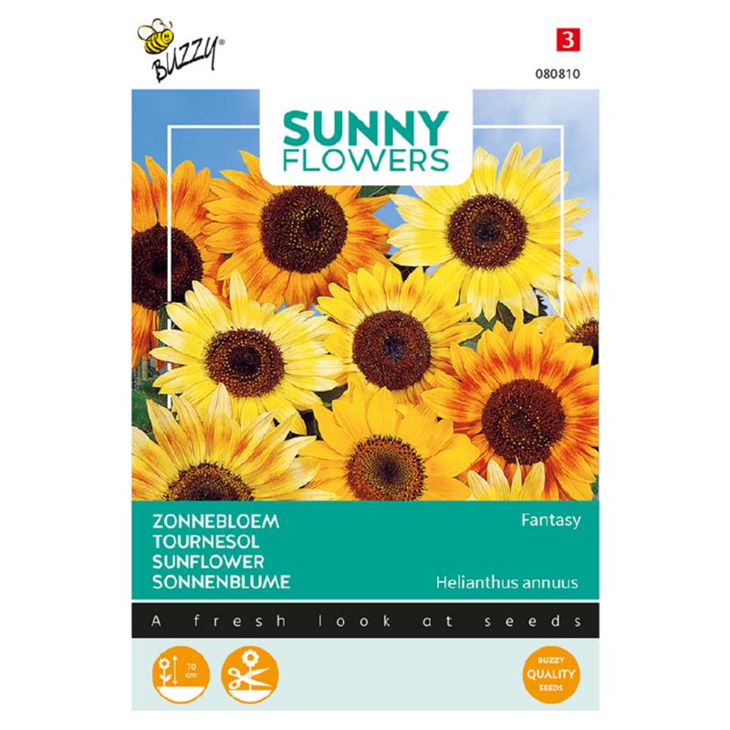 Sunny Helianthus, Zonnebloem Fantasy