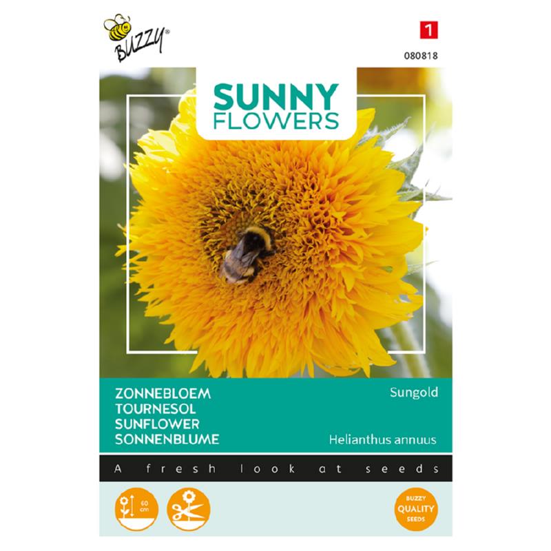 Sunny Helianthus, lage Zonnebloem Sungold dubbelbloemig