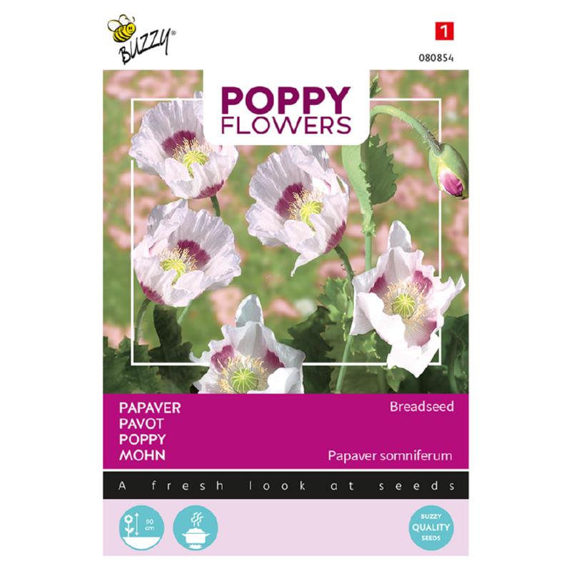 Poppy Papaver Blauw maanzaad