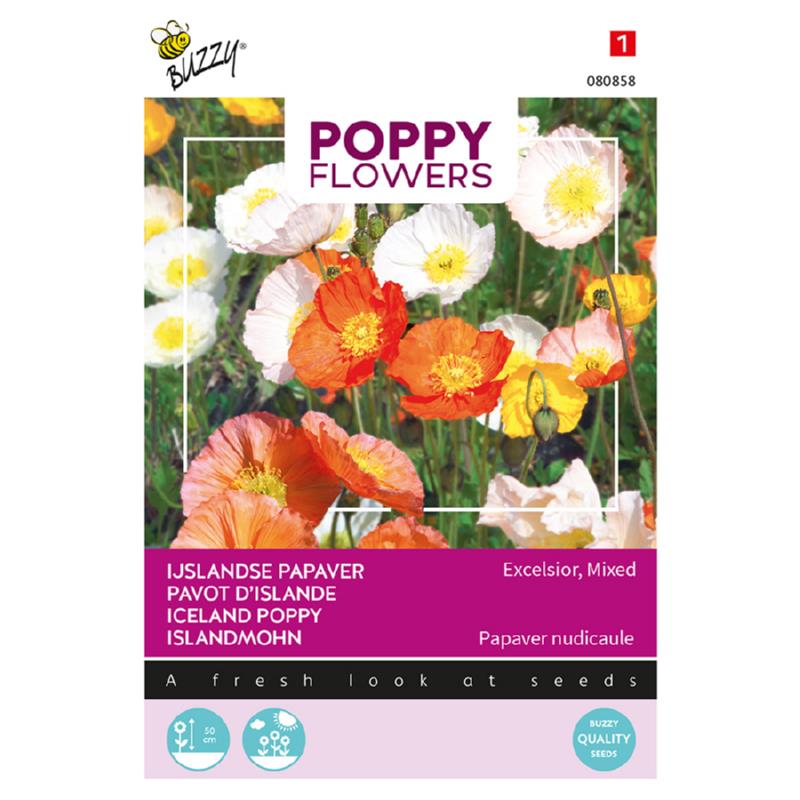 Poppy IJslandse papaver Excelsior gemengd