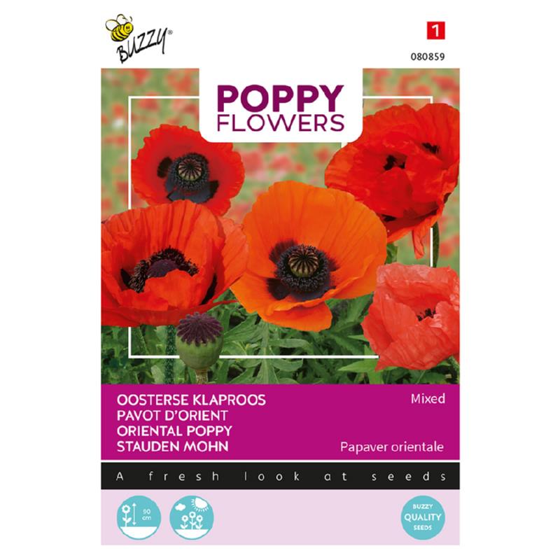 Poppy Orientaalse papaver/ Oosterse klaproos