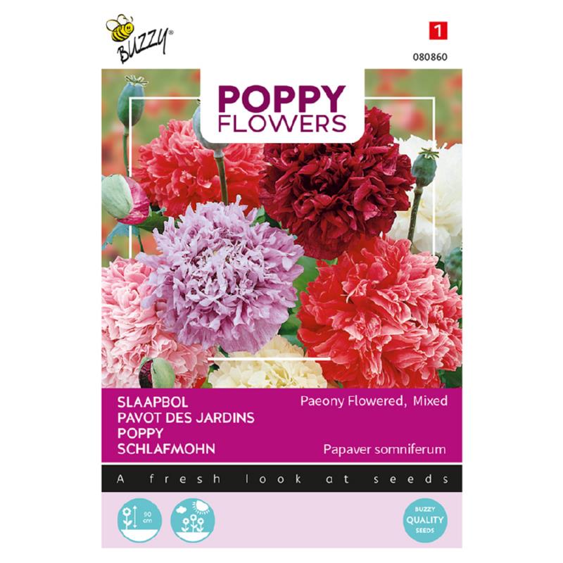 Poppy Slaapbol Pioenbloemige papaver