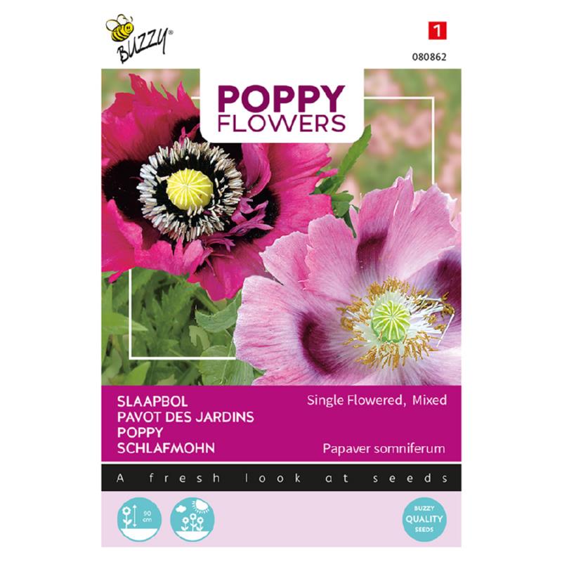 Poppy Papaver slaapbol