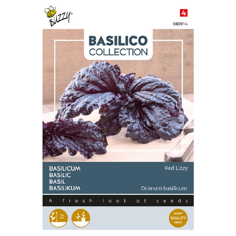 Basilicum Red Lizzy
