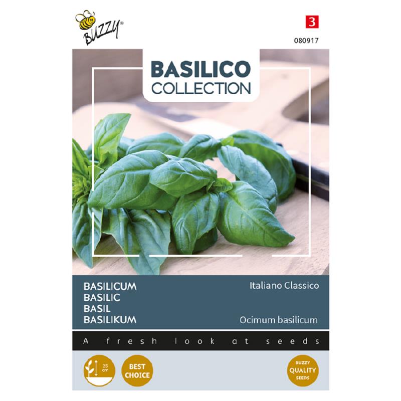 Basilicum Italiano Classico