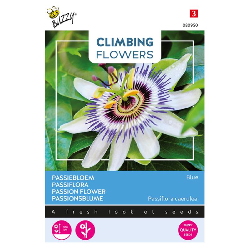 Climbing Flowers Passiflora blauw