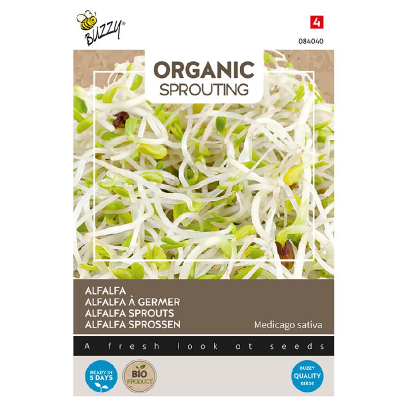 Organic Sprouting Alfalfa