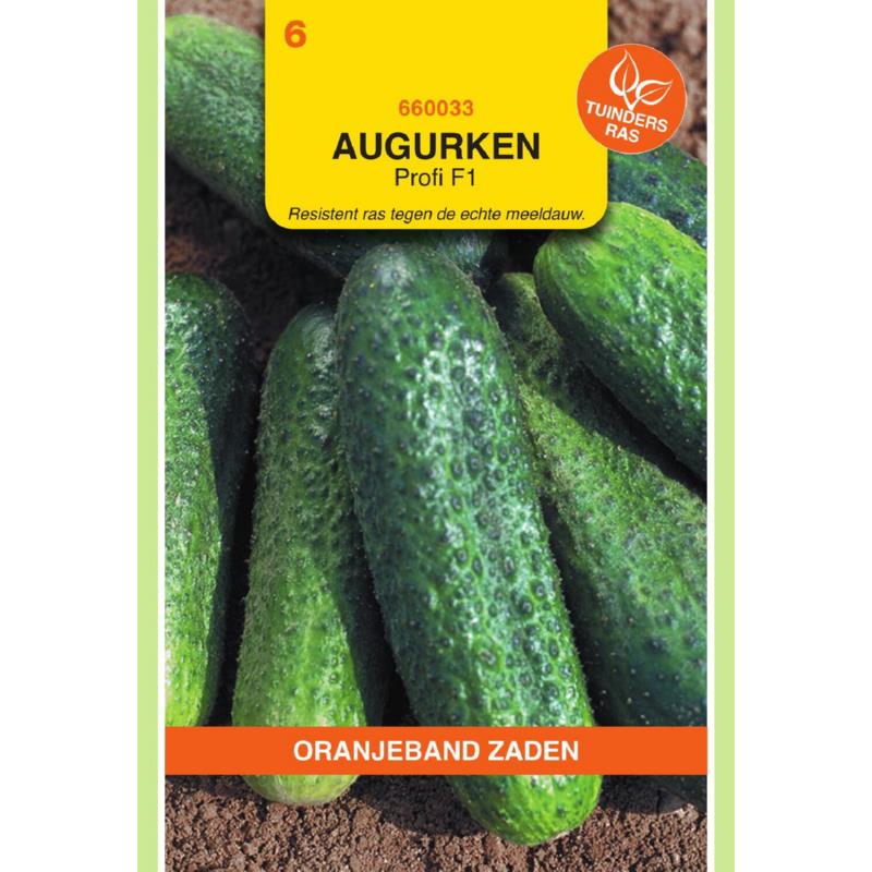 Augurk Profi F1, voorheen Capra F1