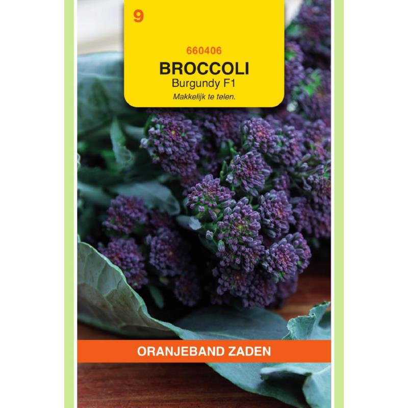 Sprouting broccoli, Burgundy F1 compacte stengelbroccoli of aspergerbroccoli