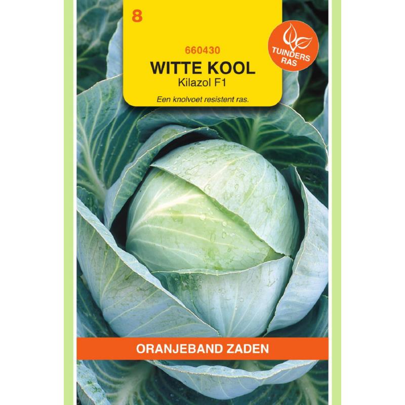 Witte kool Kilazol F1