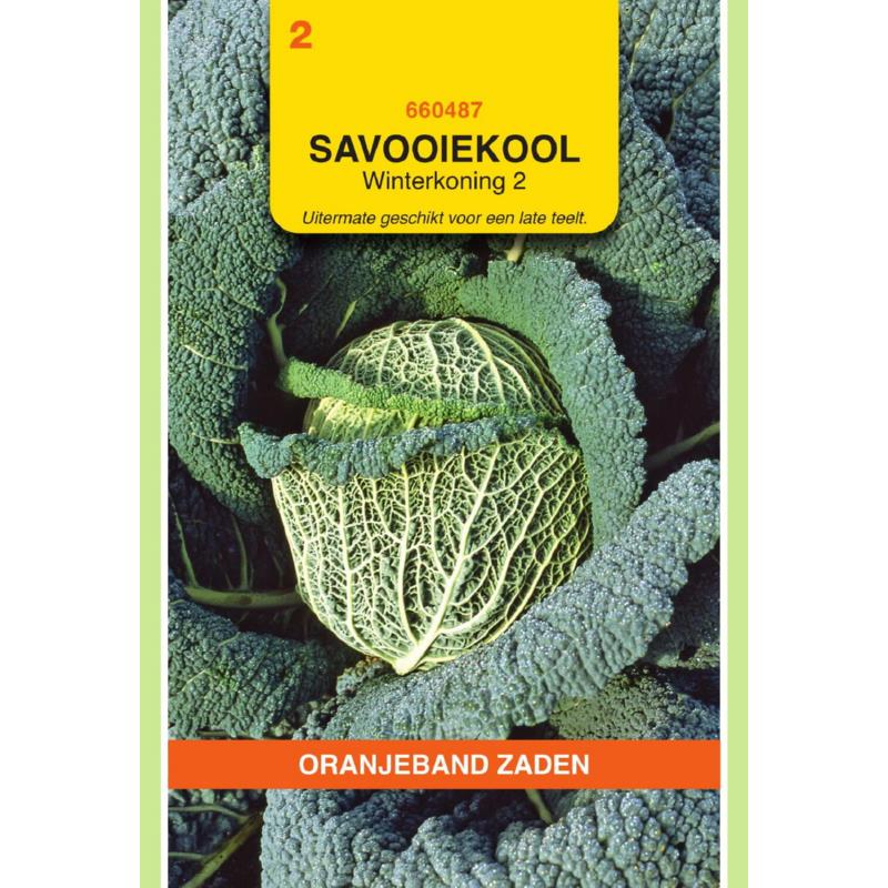 Savooiekool Winterkoning 2