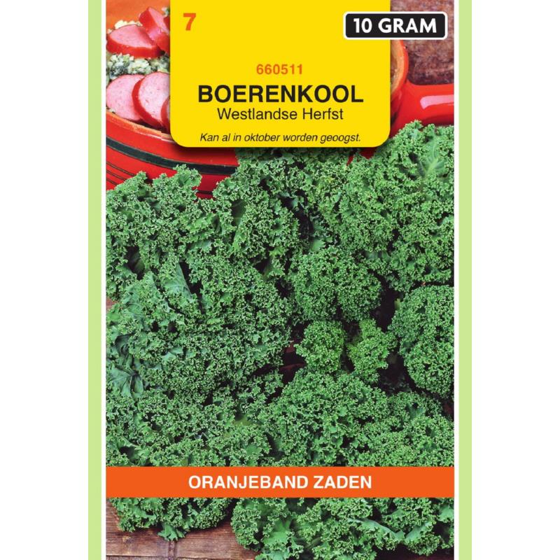 Boerenkool Westlandse Herfst (laat type), 10 gram