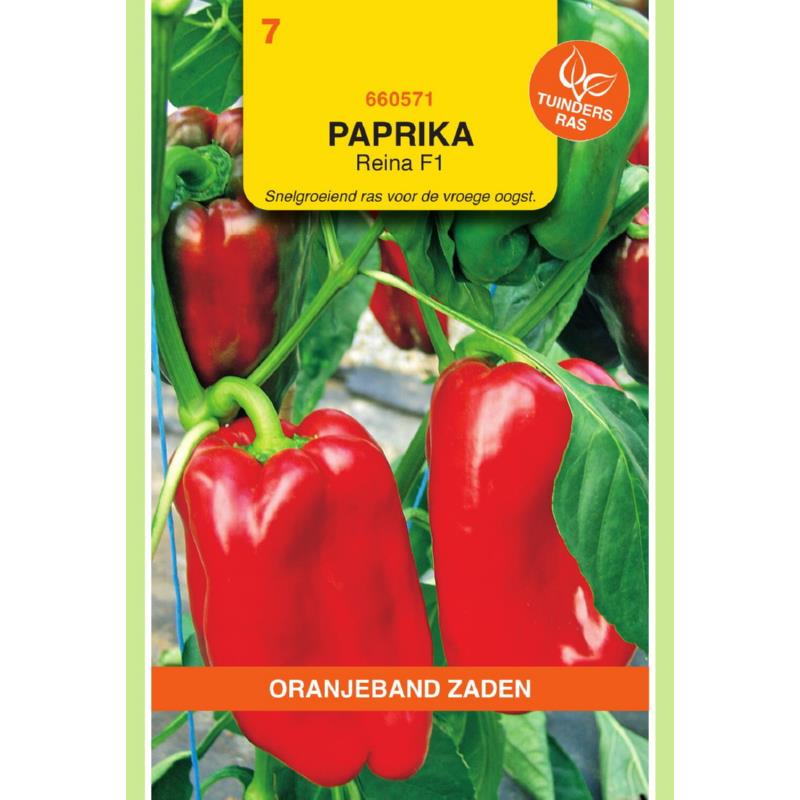 Paprika Reina F1