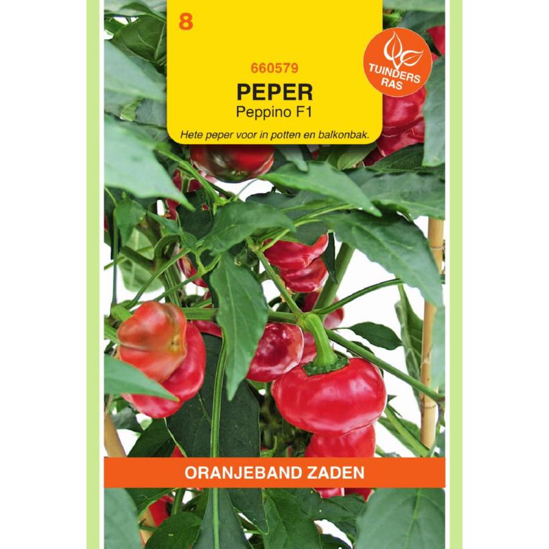 Peper, Hot Pepper Peppino Balkon
