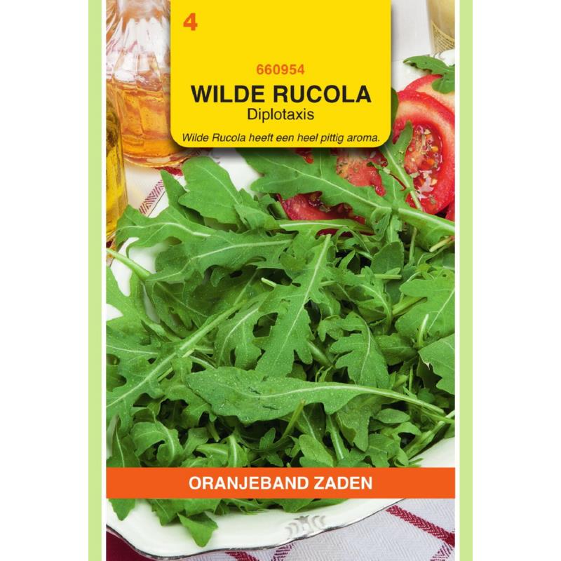 Wilde Rucola Diplotaxis