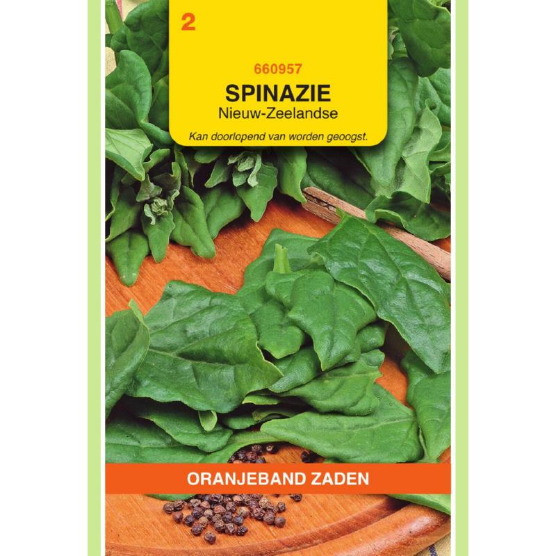 Spinazie, Nieuw-Zeelandse