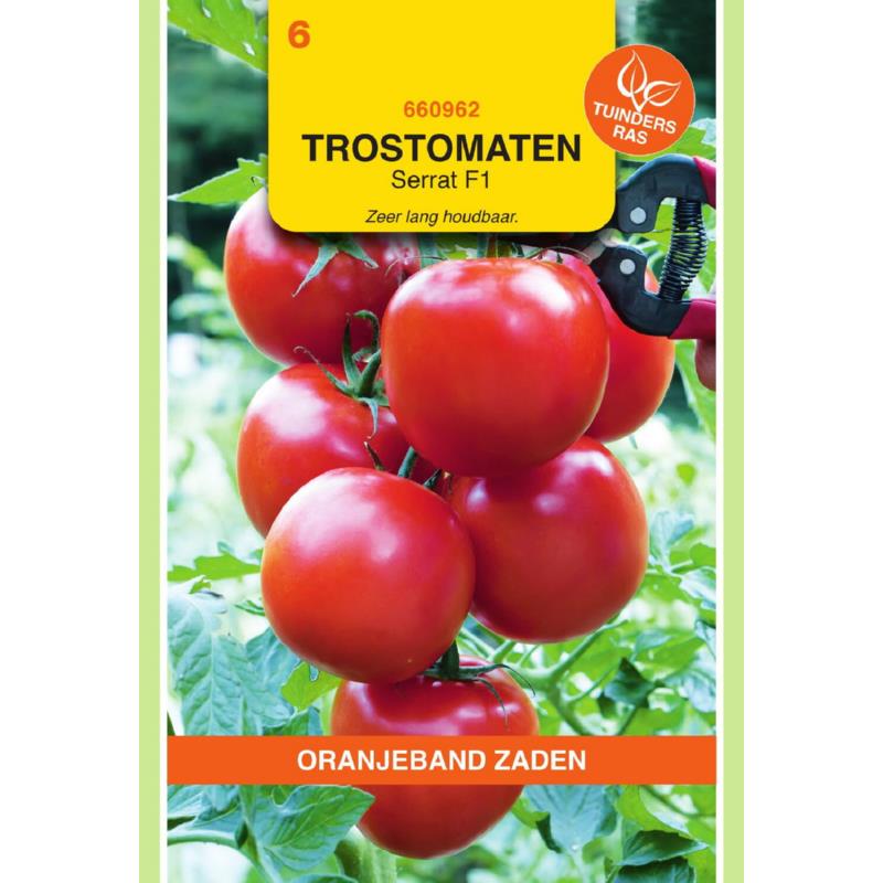 Tomaat Serrat F1