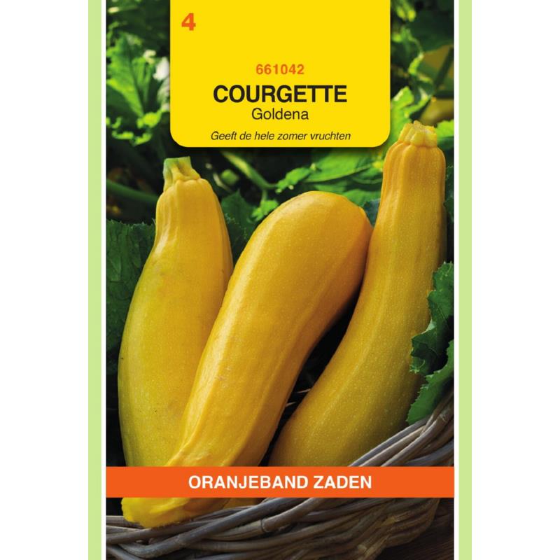 Courgette Goldena